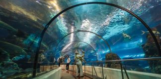 Океанариум Барселоны