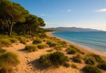 Природа вокруг Ла-Эскалы дюны, сосновые леса и залив Розес