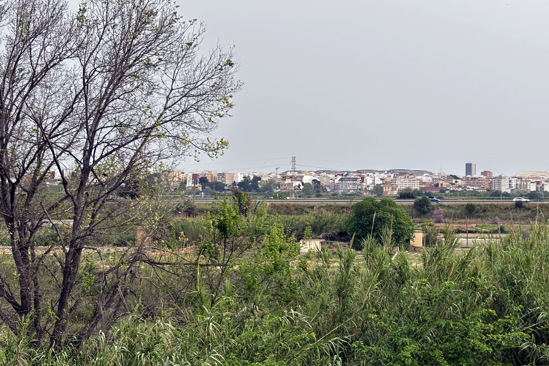 Панорама Куарт-де-Поблета за зелёным речным коридором Турии