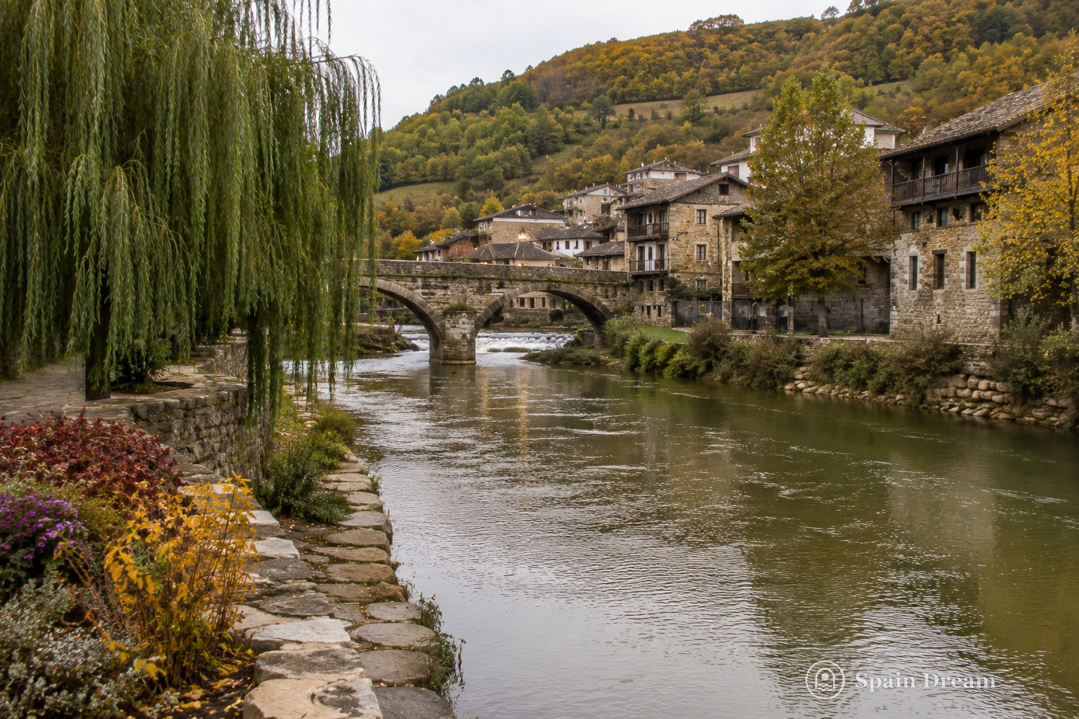 Лесная тропа Camino de Santiago между Riego de Ambrós и Молинасекой с каштанами, каменной дорожкой и горами Эль-Бьерсо