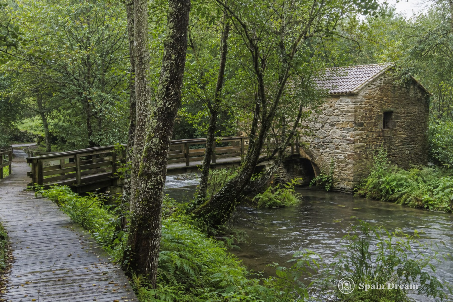Зелёный Paseo Ramiro Recouso у реки Меркурин