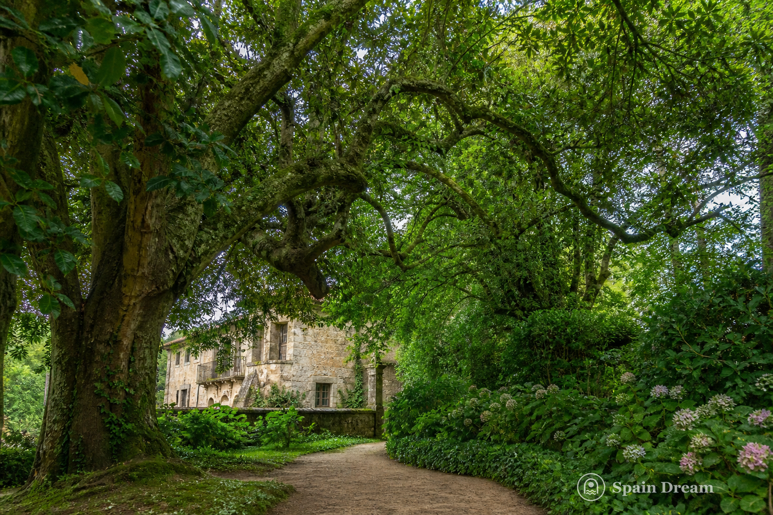 Исторический сад с вековыми деревьями в Пуэнте-Сан-Мигеле