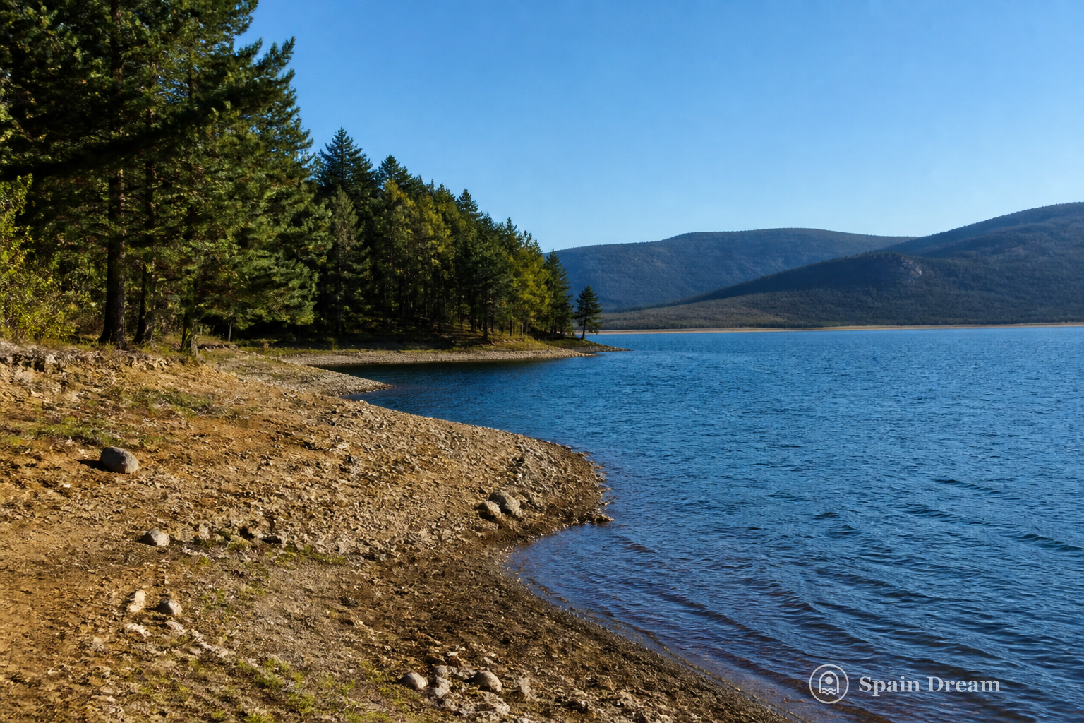 Сосновый берег водохранилища Куэрда-дель-Посо
